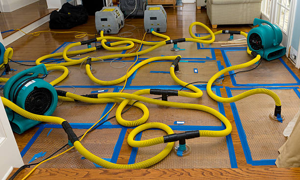 Professional Basement Flood Cleanup technician working in Metuchen, NJ